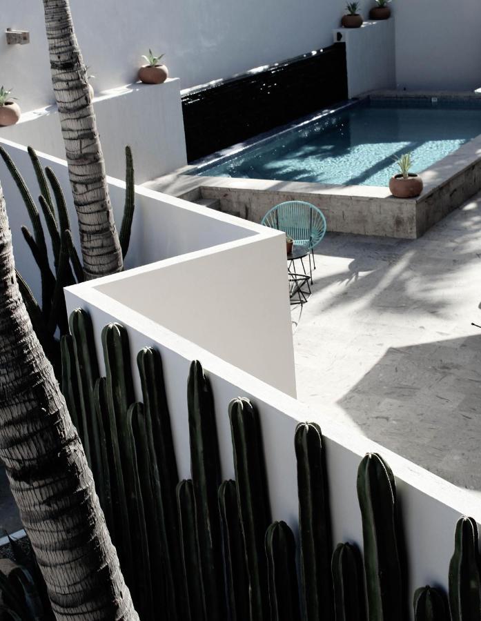 Six Two Four Urban Beach Hotel San Jose del Cabo Bagian luar foto